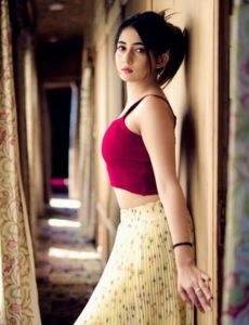 Call Girls Noida Sector 77